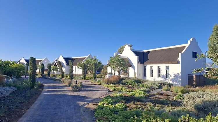 Luxury Cottages at Vergenoegd Löw