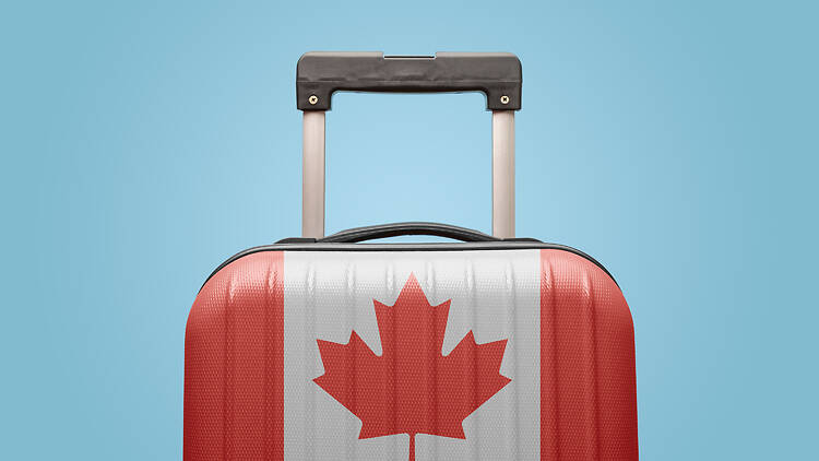 Canada’s U.S. travel pullback could cost the U.S. $4.2B Canada’s U.S. travel pullback could cost the U.S. $4.2B