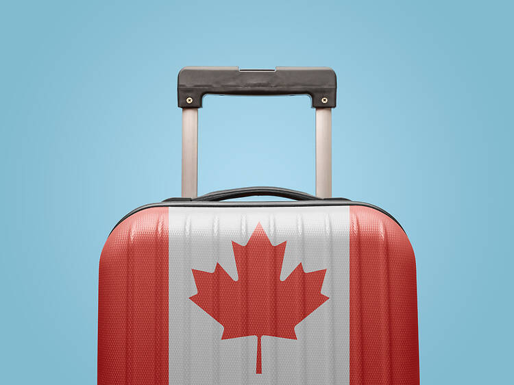 Canada’s U.S. travel pullback could cost the U.S. $4.2B Canada’s U.S. travel pullback could cost the U.S. $4.2B