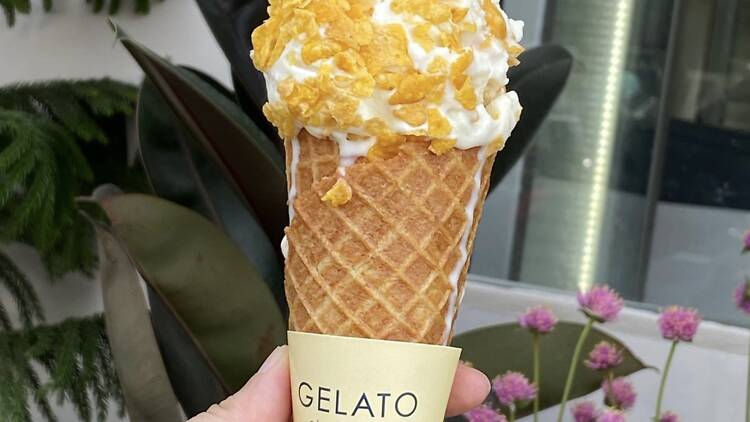 Gelato Elementary