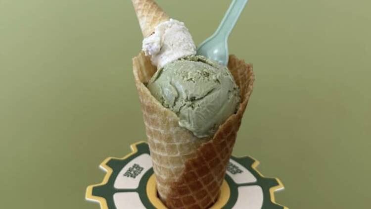 Scoops & Spokes Scoops & Spokes