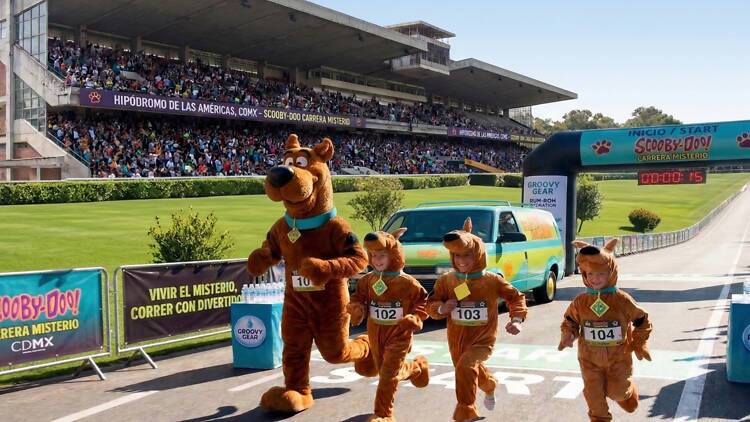 Participa en la carrera de Scooby-Doo con tu lomito: precio y fecha