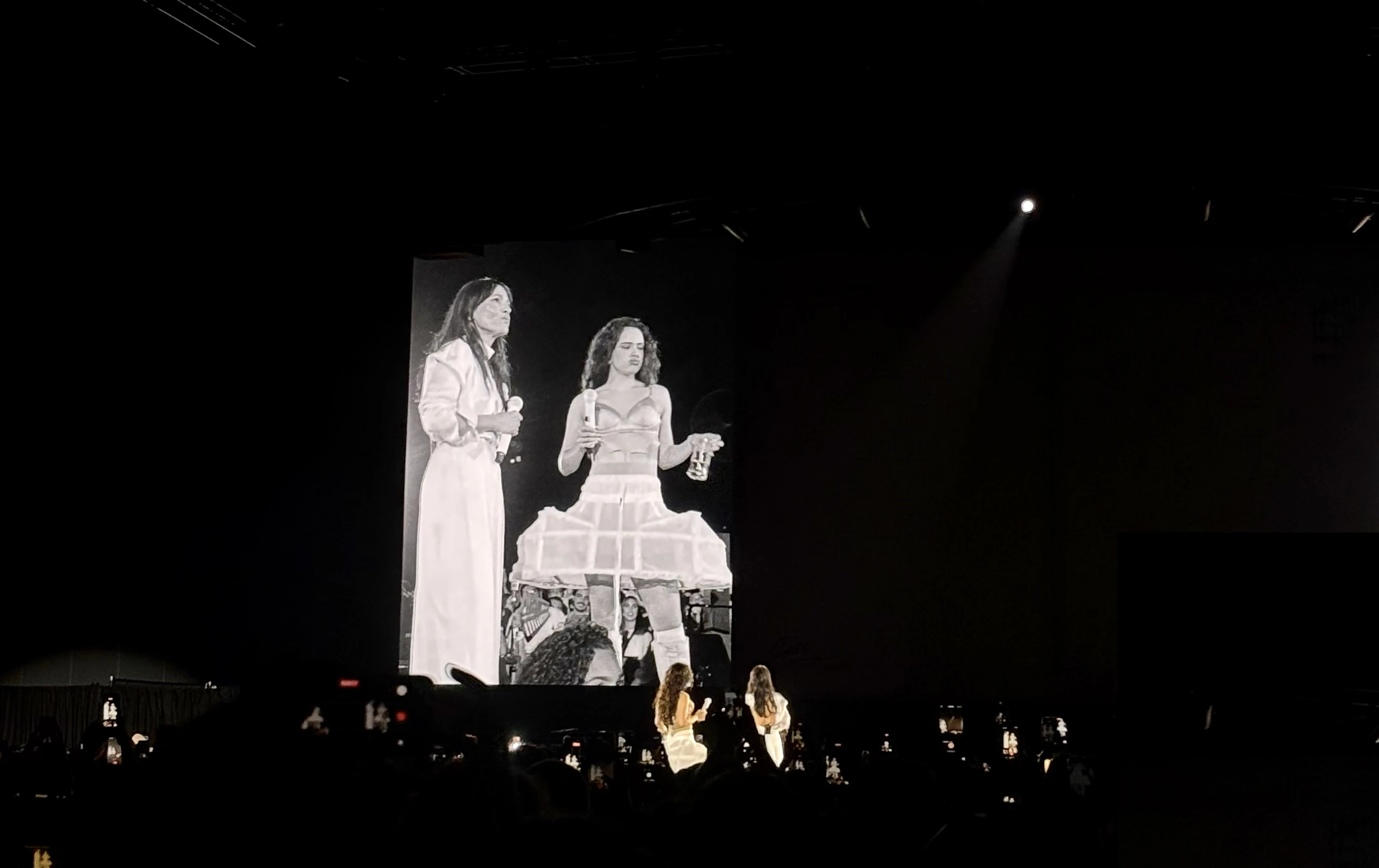 Rosal&iacute;a e Carminho