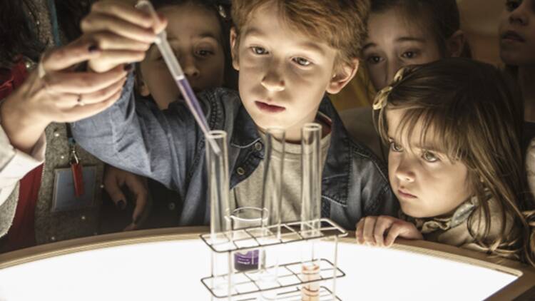 Pavilhão do Conhecimento