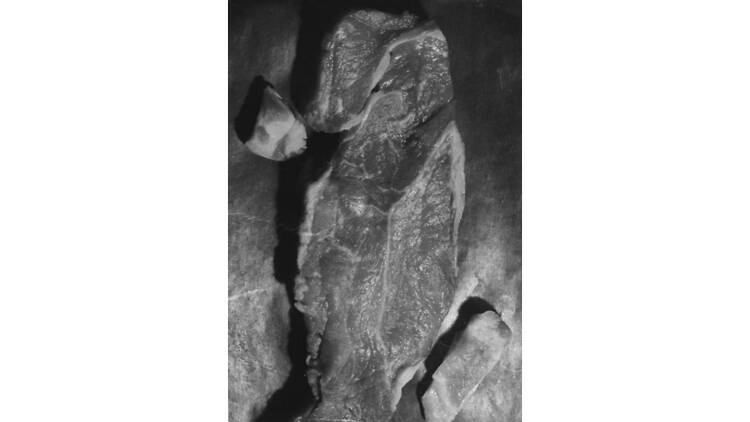 拡大するシュルレアリスム 視覚芸術から広告、ファッション、インテリアへ