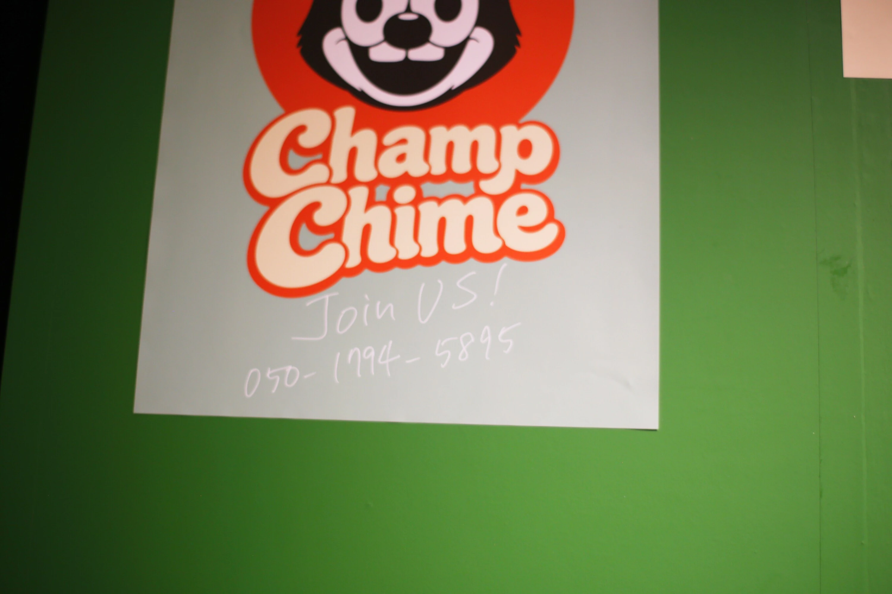 Champ Chime Chocolate