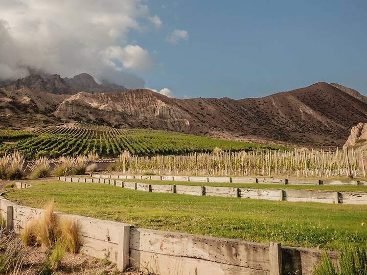 Estancia Uspallata: llevar la vid al límite físico de la montaña
