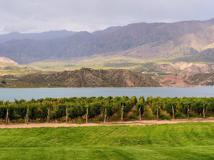Bodega Staphyle: cuando el viñedo nace a orillas de un lago