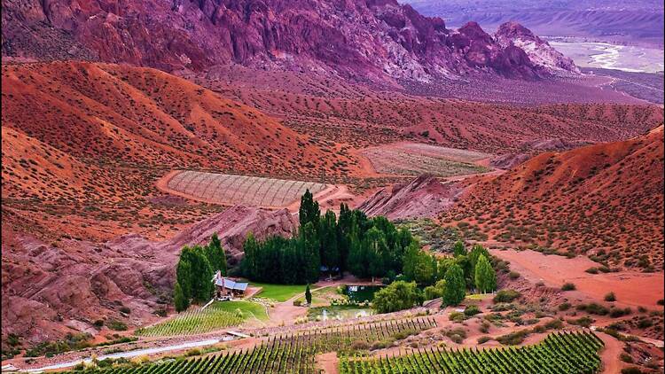 Otra forma de hacer vino: guía de las bodegas más radicales de Mendoza