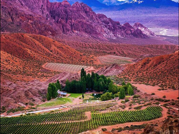 Otra forma de hacer vino: guía de las bodegas más radicales de Mendoza