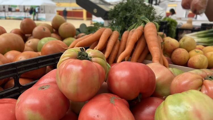 Del campo madrileño a tu mesa