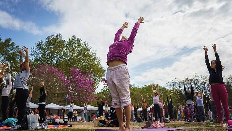 Festival Exhale Festival Exhale