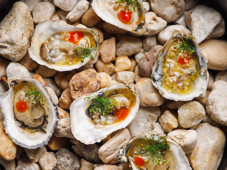 Honeysuckle Honeysuckle