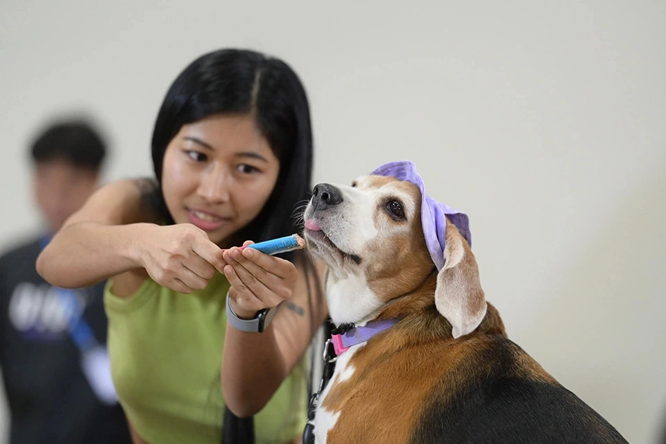 Thailand International Dog Show 