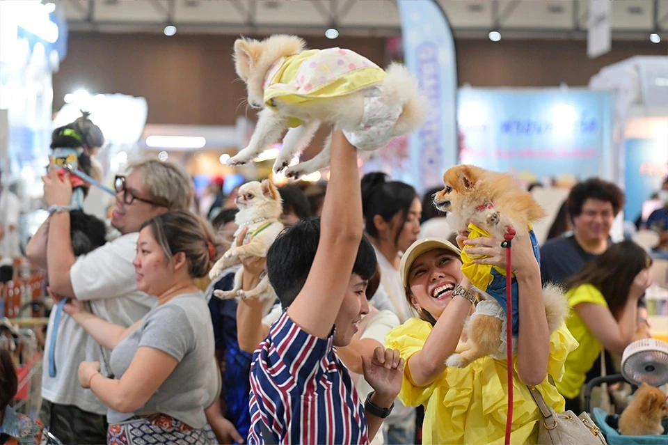 Thailand International Dog Show 