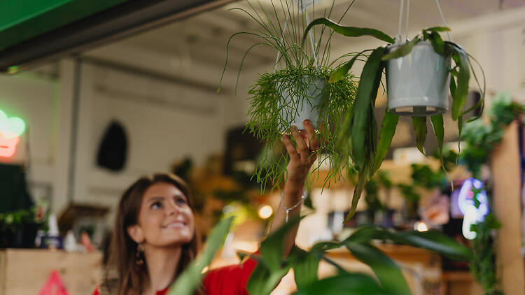 A woman browsing plants