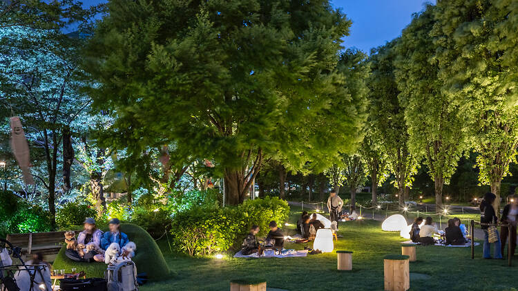 Midtown Open the Park