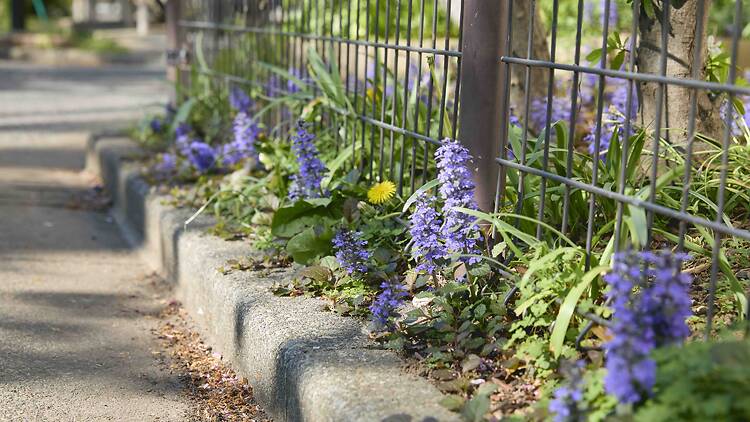 Choose the right spot