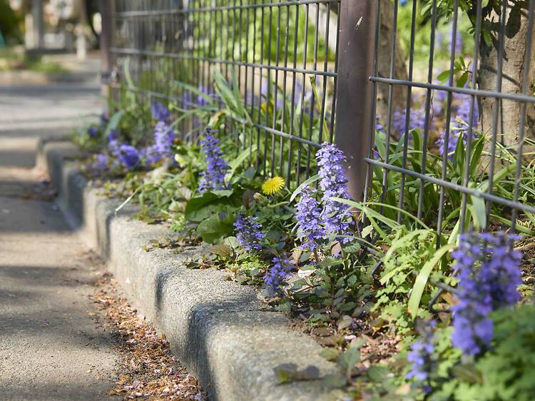 Choose the right spot