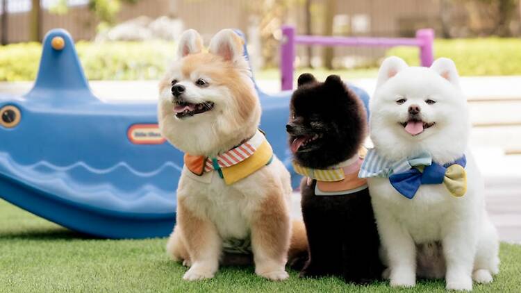 帝盛美酒佳餚節 帝盛美酒佳餚節