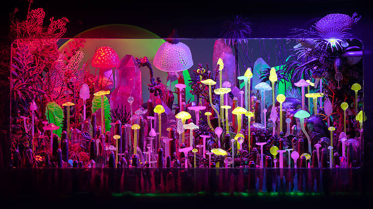 Museo de Arte Moderno de Buenos Aires: un aniversario que mira al futuro