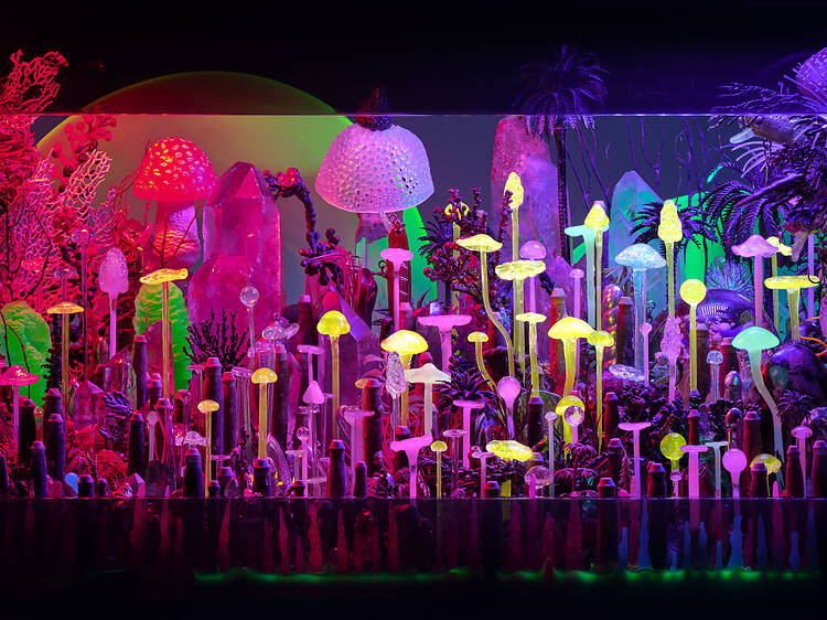 Museo de Arte Moderno de Buenos Aires: un aniversario que mira al futuro