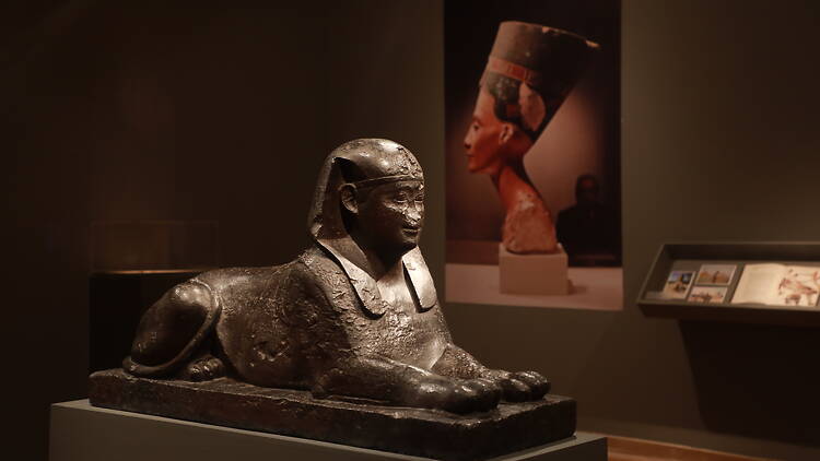 Museo Nacional de Bellas Artes: un clásico que siempre tiene algo nuevo para mostrar