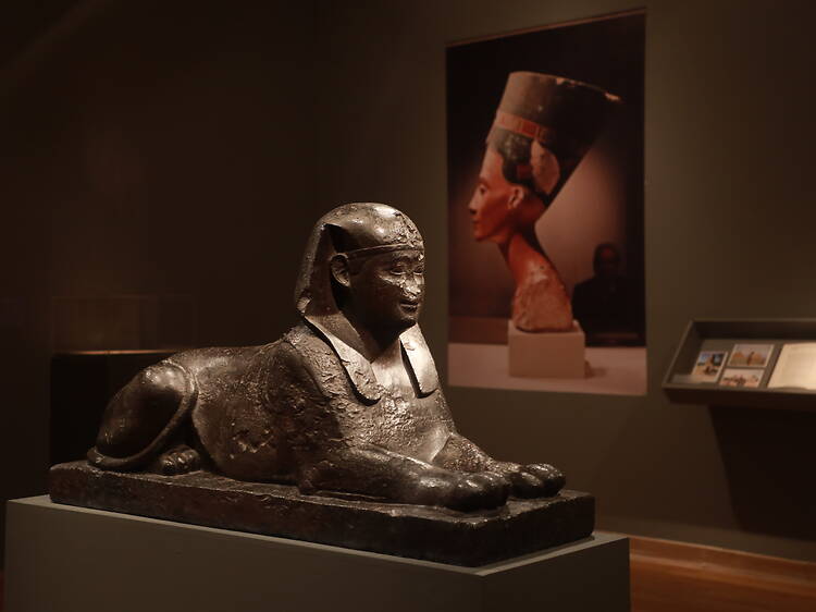 Museo Nacional de Bellas Artes: un clásico que siempre tiene algo nuevo para mostrar