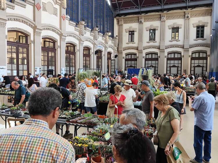 Las mejores cosas para hacer esta semana en Barcelona