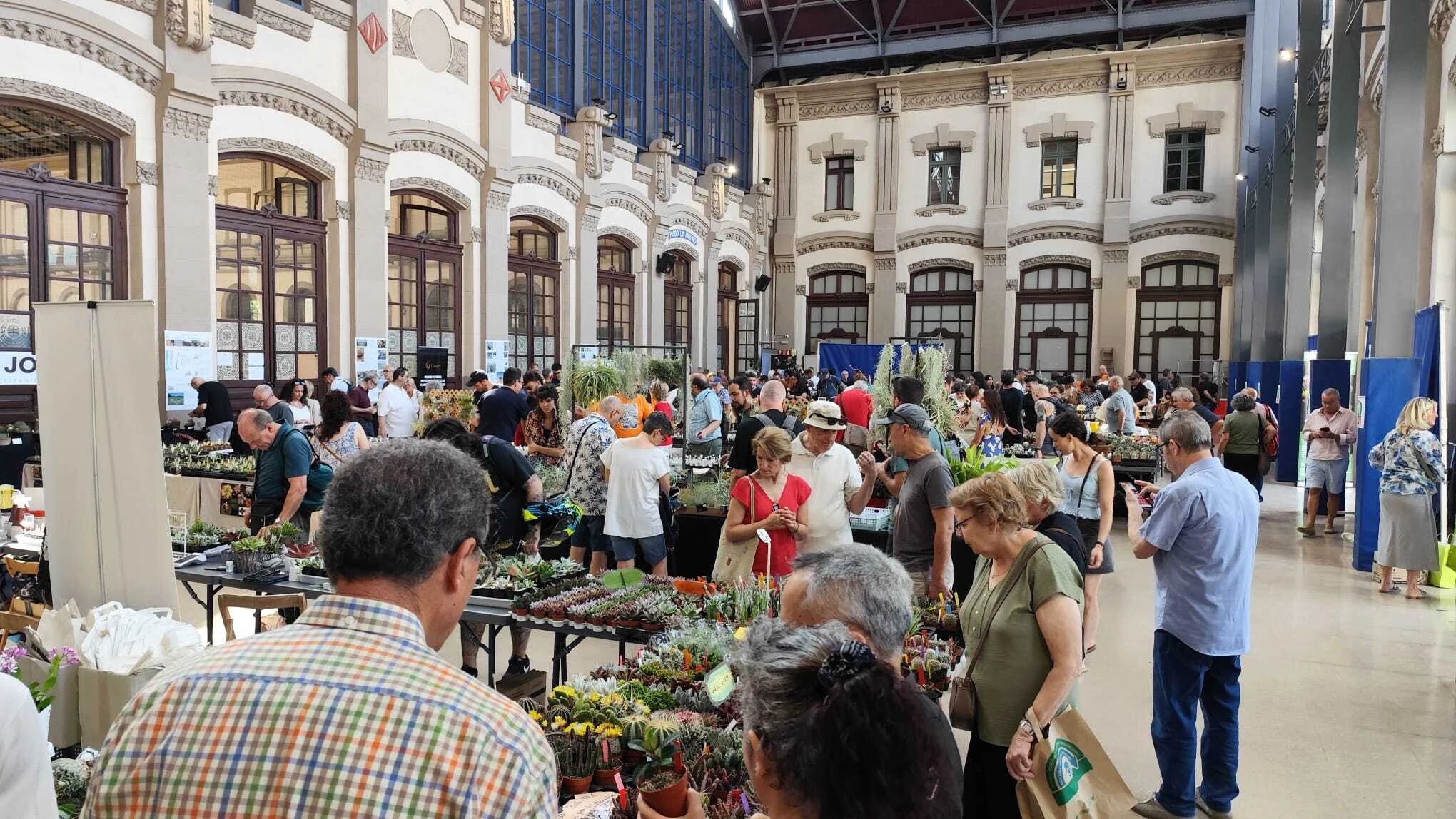 Exposici&oacute; Internacional de Cactus y Suculentas