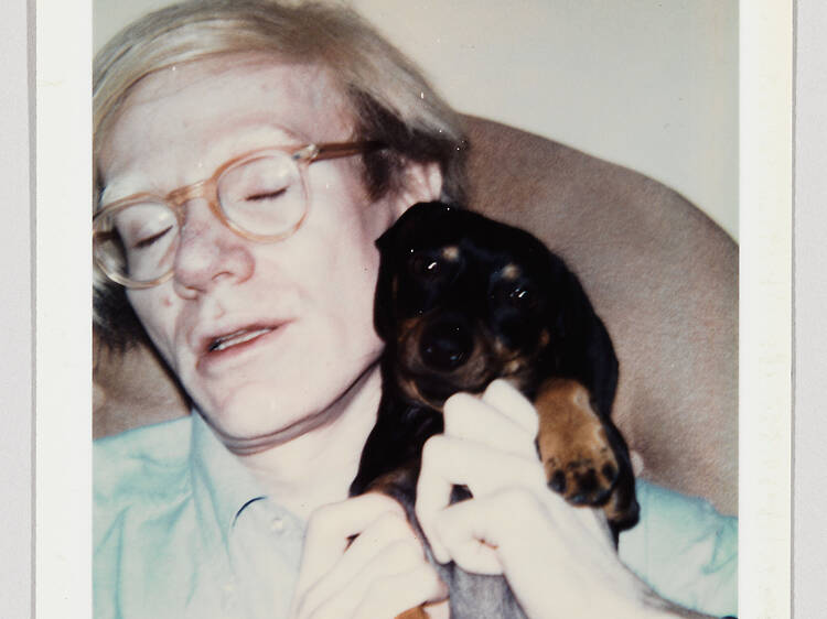 A new exhibit at the Whitney focuses on Andy Warhol's social and personal life