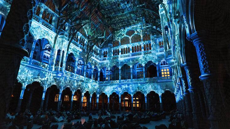 Eonarium Enlightenment A large room illuminated by colourful projections.