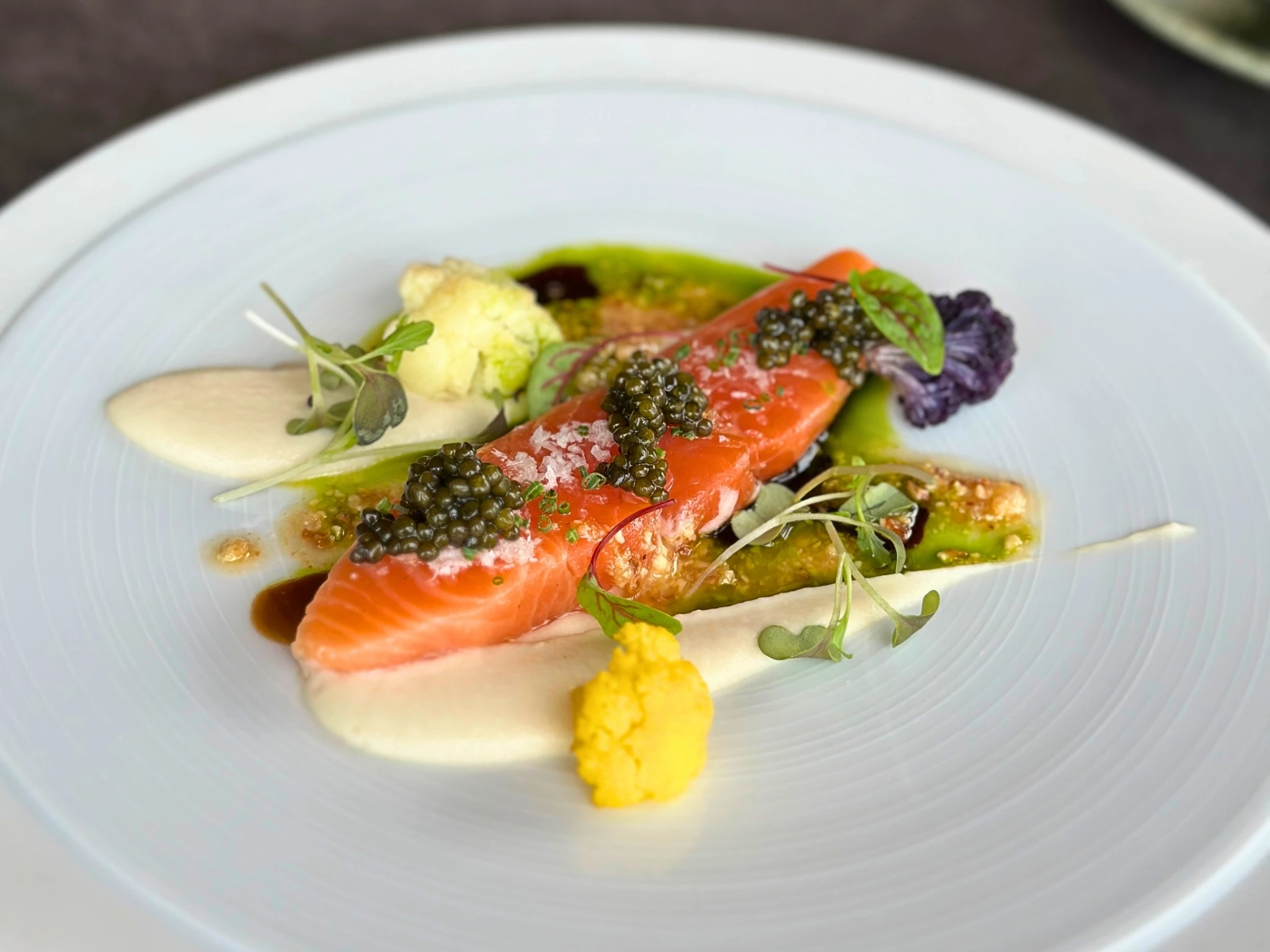 Akaroa Salmon Mi-Cuit, Vue