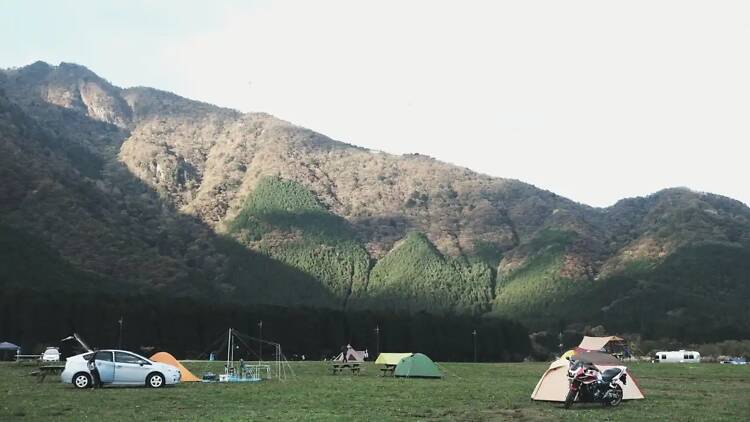 Campsite with sunny rolling hills in the background
