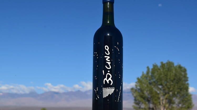 3. 35.5 La Evaristo 2022: tinto sanjuanino entre frutas, flor y hierbas