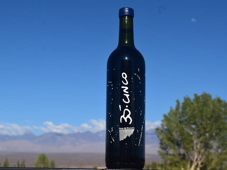 3. 35.5 La Evaristo 2022: tinto sanjuanino entre frutas, flor y hierbas