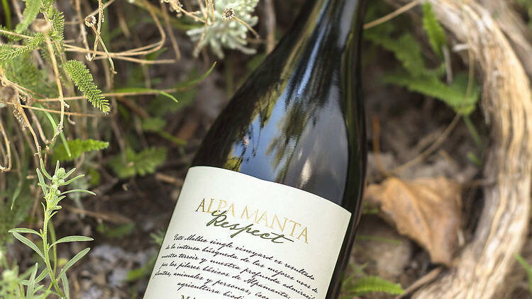 5. Alpamanta Respect 2021: natural y con carácter