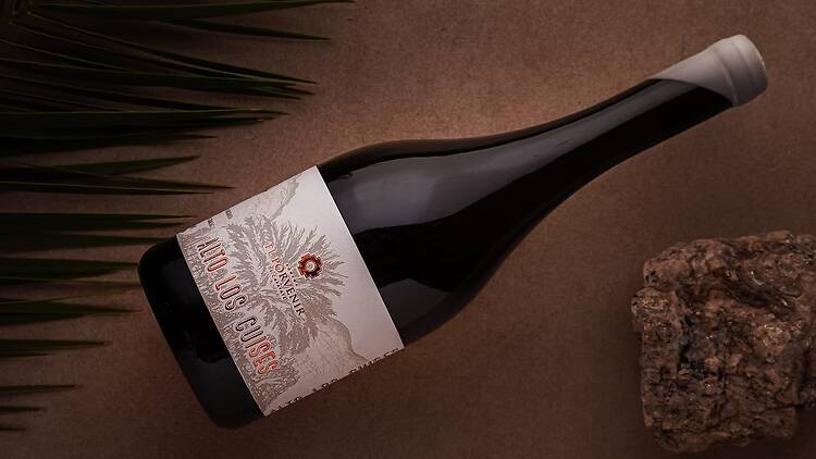 7. El Porvenir Alto Las Cuises 2023: de altura y carácter atípico