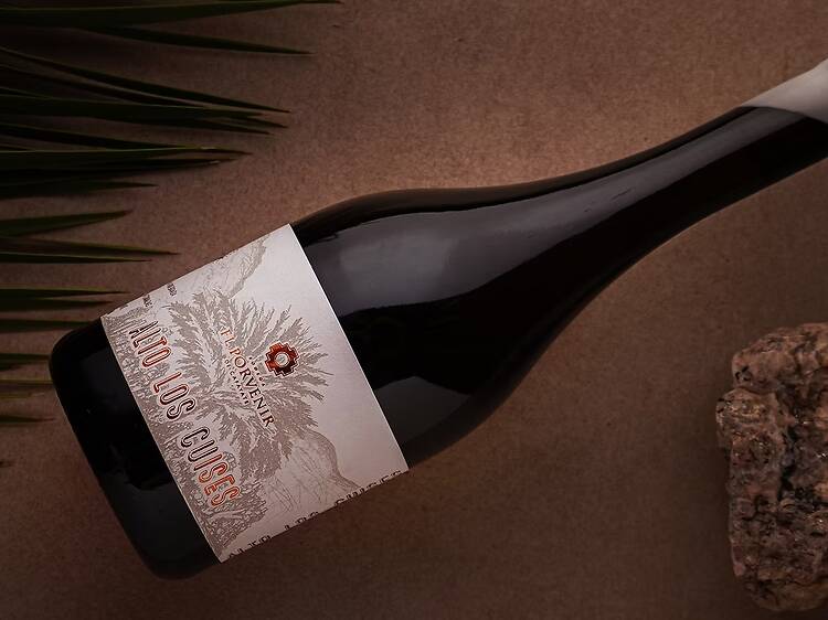 7. El Porvenir Alto Las Cuises 2023: de altura y carácter atípico