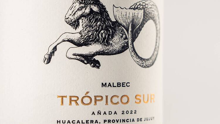 9. El Bayeh Trópico Sur 2022: bajo el sol de Capricornio