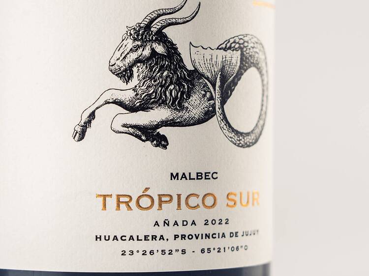 9. El Bayeh Trópico Sur 2022: bajo el sol de Capricornio