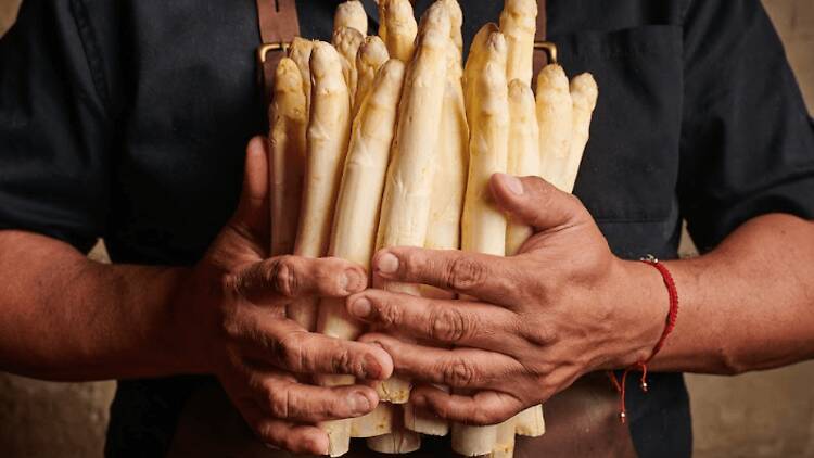 Espárragos en Piantao