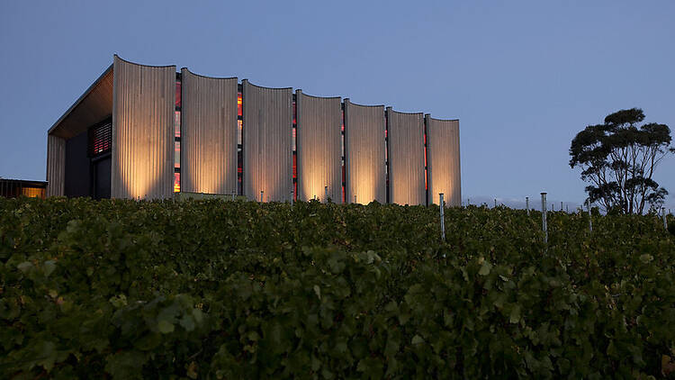 Visit one of Hobart's best wineries