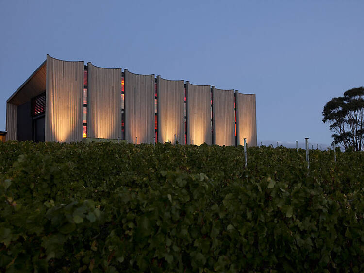 Visit one of Hobart's best wineries