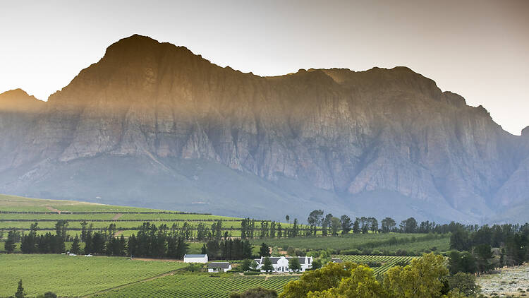 The Bistro at Brookdale Estate in Paarl.
