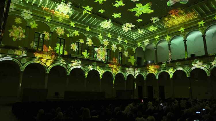 Eonarium Enlightenment A large room illuminated by colourful projections.