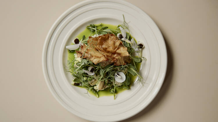 Holy Carrot Holy Carrot