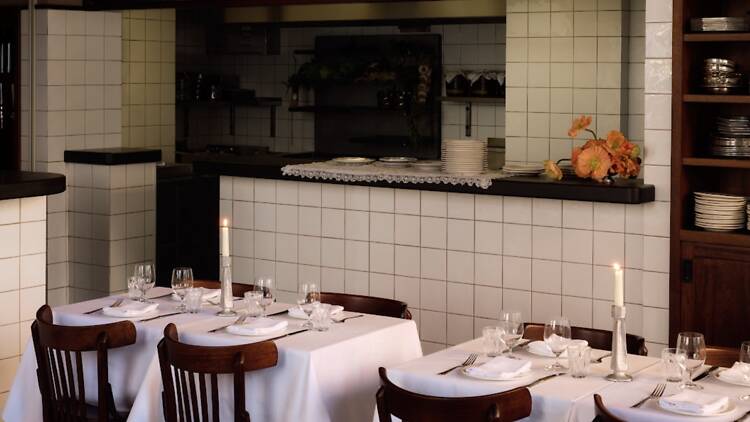 Holy Carrot Holy Carrot