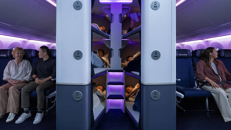 Air New Zealand SkyNet sleeping pods Air New Zealand SkyNet sleeping pods
