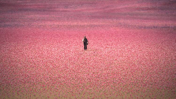 New on Streaming Platforms in April 2026: The Series and Movies You Need to Watch